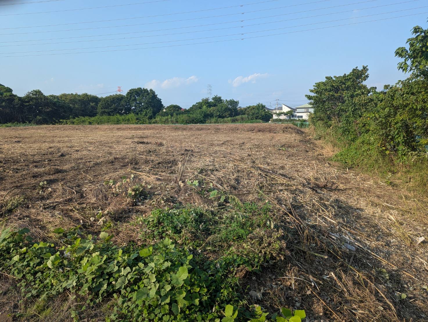 【草刈】さいたま市
