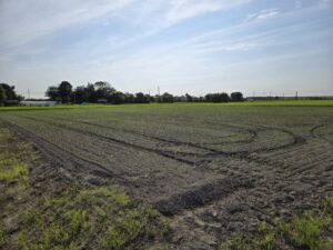 埼玉,東京,千葉,茨城,春日部,松伏,越谷,吉川,幸手,杉戸,農地改良,農地改良業者,埋め立て,埋立,埋立業者,整地,造成,造成工事
