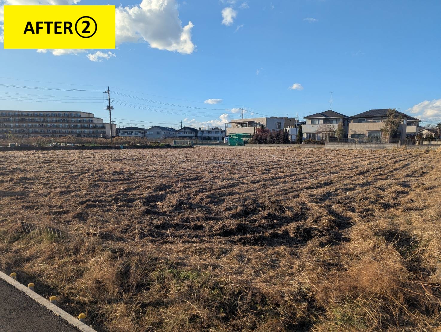 春日部市耕作放棄地問題