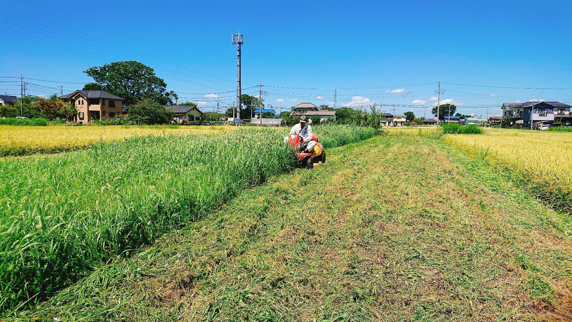 【農地管理】草刈りでお困りではないですか？農地の草刈りして参りました！！