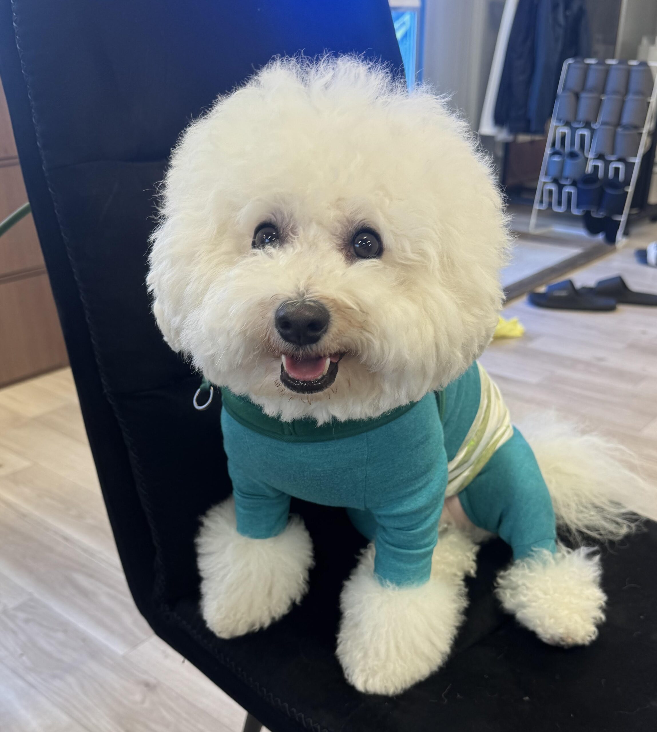 ＊年末のご挨拶＊