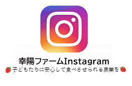 Instagram,インスタグラム